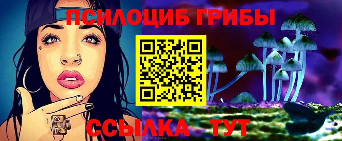 Галлюциногенные грибы Psilocybe Коряжма